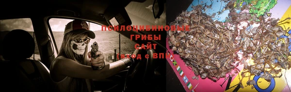 МДМА Протвино