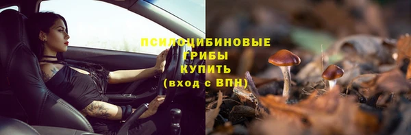 мдпв Россошь