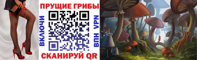 kraken зеркало  Советск  Псилоцибиновые грибы GOLDEN TEACHER 