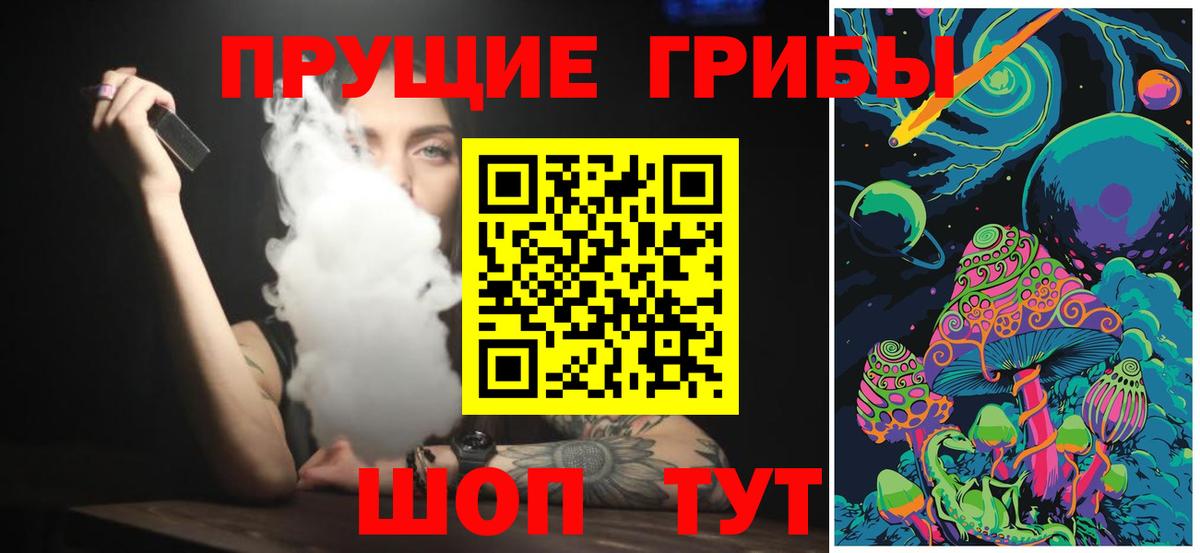 Псилоцибиновые грибы Psilocybe Советск