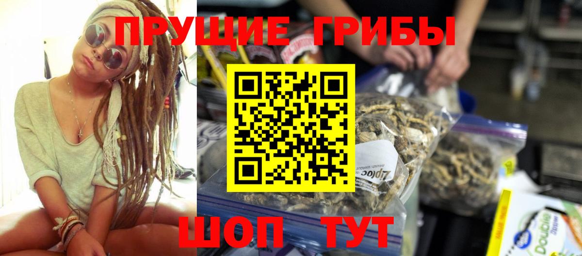 Галлюциногенные грибы MAGIC MUSHROOMS  Вход с VPN  Советск  Галлюциногенные грибы Psilocybine cubensis 