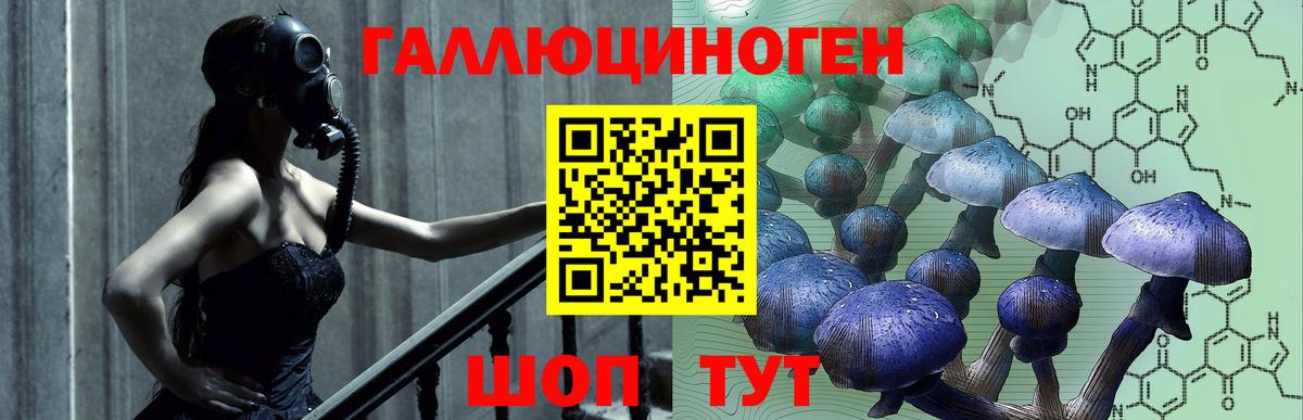 Псилоцибиновые грибы Советск