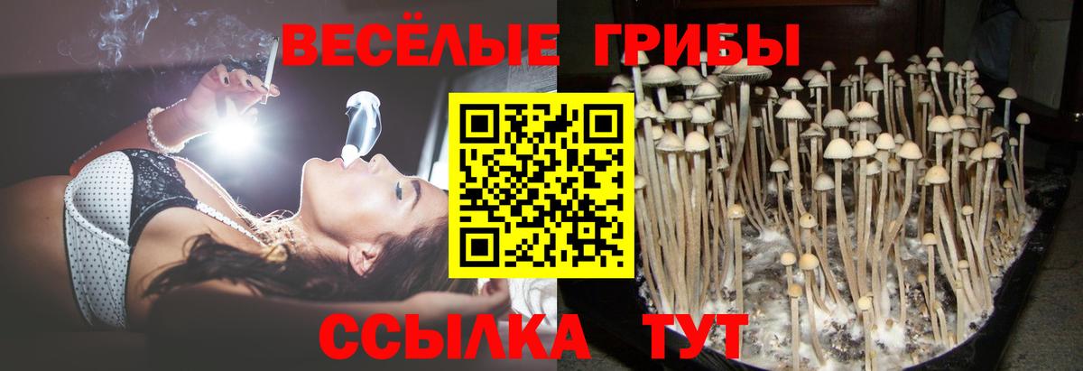Альфа ПВП СОЛЬ   Советск  Меф МЯУ МЯУ   Cocaine  ГАШ  ЭКСТАЗИ  Каннабис  Вход с VPN 