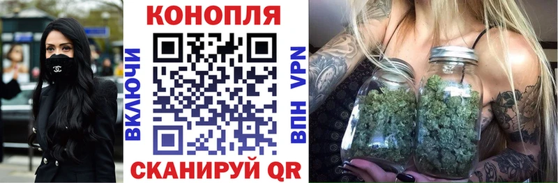 Бошки Шишки планчик  Советск 